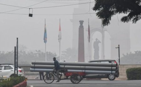 दिल्ली में बढ़ा शितलहर, कोहरे से कई ट्रेने हुई लेट, विमानों पर भी दिखा इसका असर