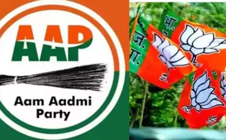 विधानसभा चुनाव में शाहदरा सीट के लिए आम आदमी पार्टी और भाजपा के बीच टक्कर