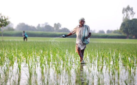 किसानों के लिए बड़ी खुशखबरी, इस दिन खाते में आएंगे 19वीं किस्त