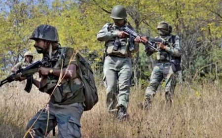 छत्तीसगढ़ में सुरक्षाबलों और नक्सलियों के बीच मुठभेड़ में 8 नक्सली ढेर