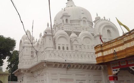 दमोह के जागेश्वरनाथ धाम में  भगदड़: चार महिलाएं ,1 बच्ची घायल