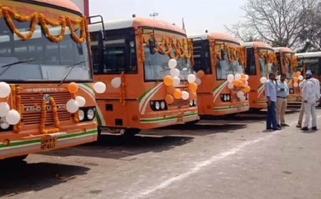 हरियाणा के 22 जिलों से प्रयागराज के लिए बसें रवाना:25 फरवरी तक महाकुंभ के लिए सेवा