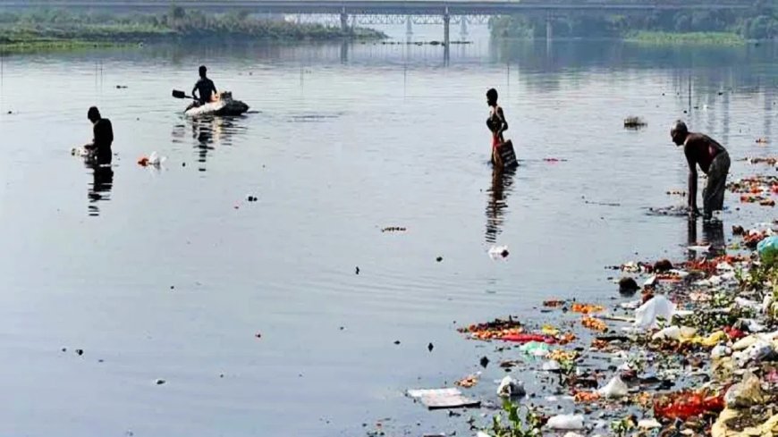 यमुना जहरीली हो रही इस याचिका पर हाईकोर्ट ने कहा: स्थिति गंभीर और निराशाजनक है