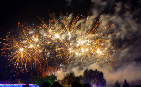 इस बार पटाखे नहीं, प्रकृति जलाएगी दीया  इको-फ्रेंडली दीवाली 2025