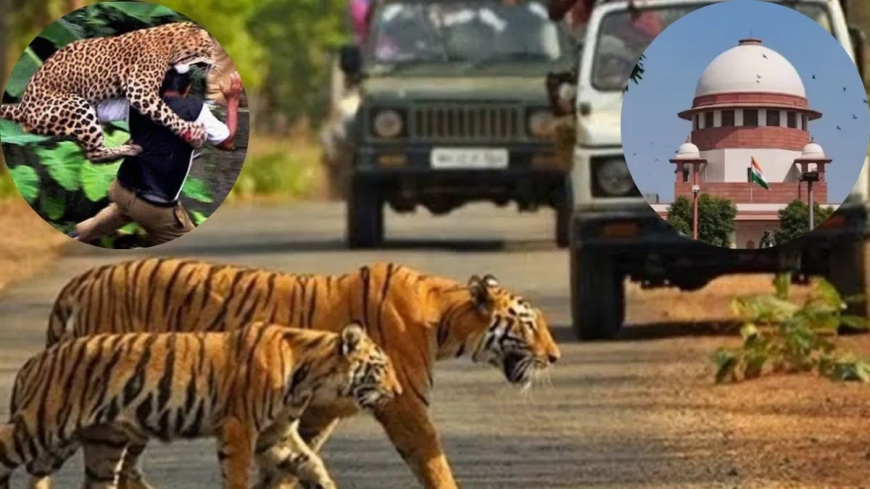 SC ने लागू किए कड़े नियम : अब बाघों के मुख्य निवास वाले हिस्से में टाइगर सफारी बिल्कुल बैन