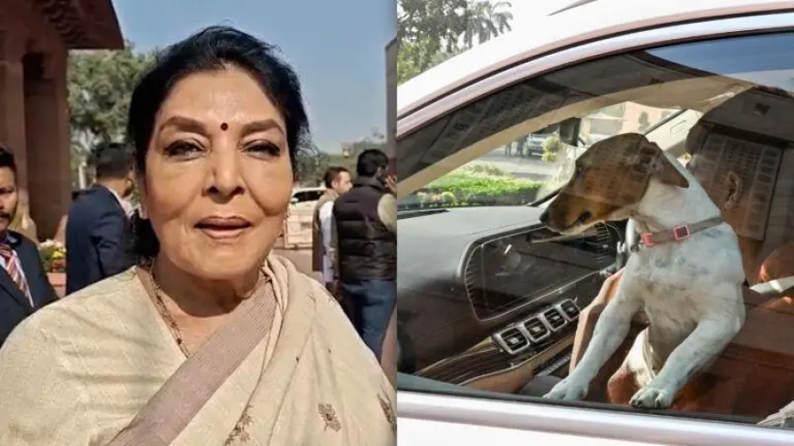 ‘भौं-भौं-भौं…’, संसद परिसर में कुत्ता लाने के विवाद पर रेणुका चौधरी के तेवर गरम