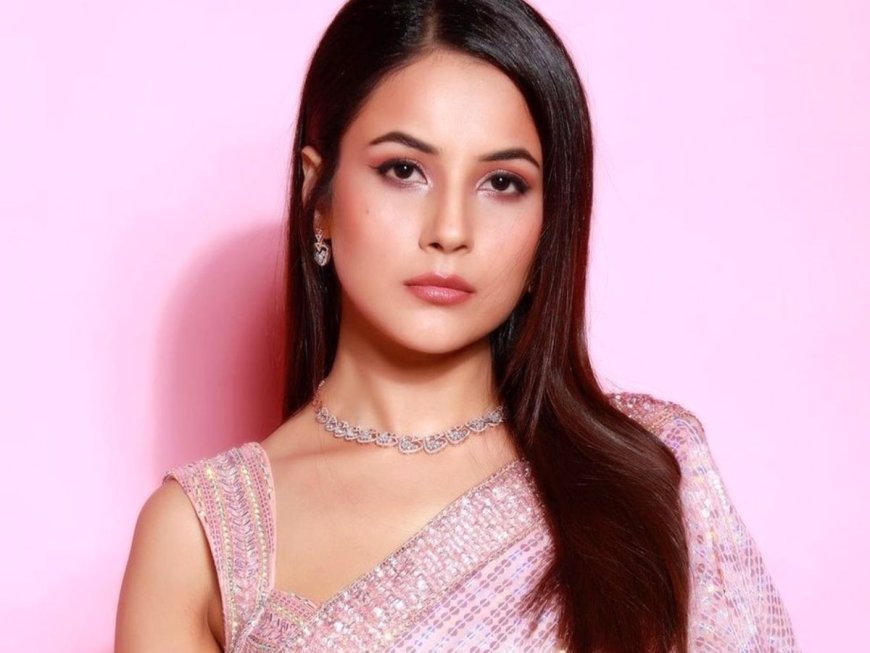 Shehnaaz Gill को बॉलीवुड में नहीं मिल रहा काम